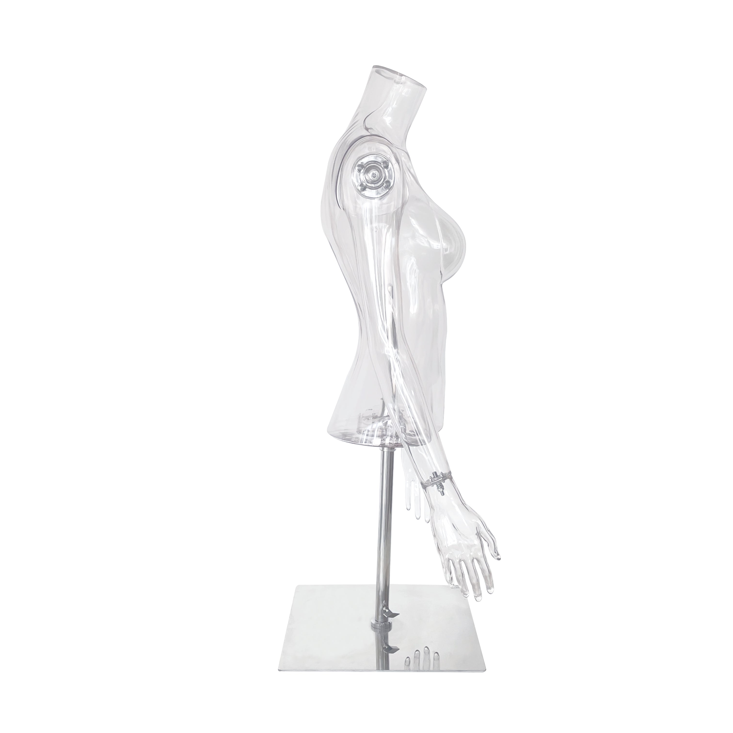 FTK02 Transparent Female Headless Torso – TheMannequin.com